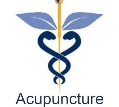 Michel Grimaud Acupuncteur