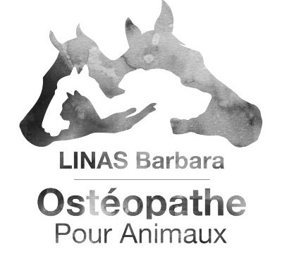 Barbara Linas Ostéopathe pour Animaux