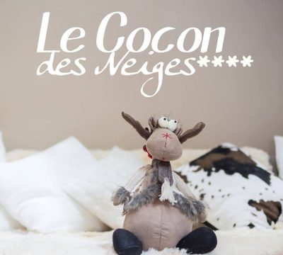 Le Cocon des Neiges Hôtel & Spa