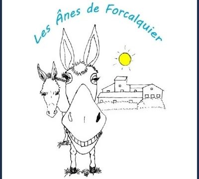 Les Anes de Forcalquier