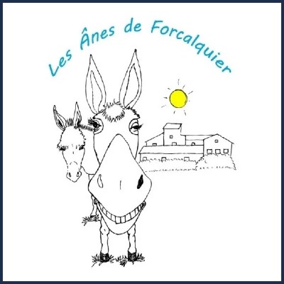 Les Anes de Forcalquier