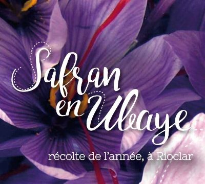 Safran en Ubaye au Chazal