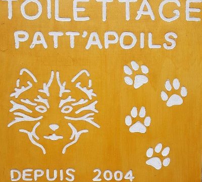 Toilettage Patt'apoils