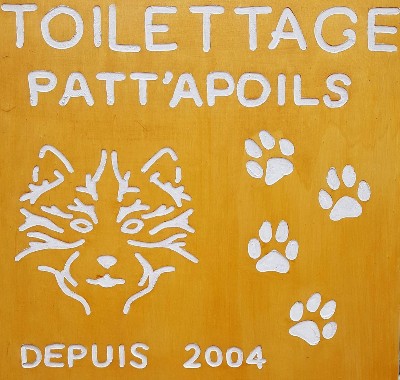 Toilettage Patt'apoils