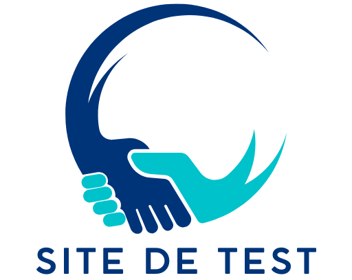 SITE DE TEST SAS ORIGAMI